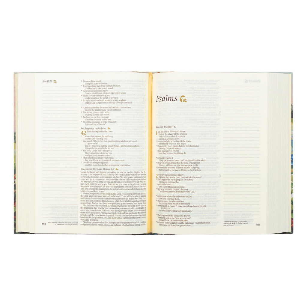 NLT Notetaking Bible : Coram Theme