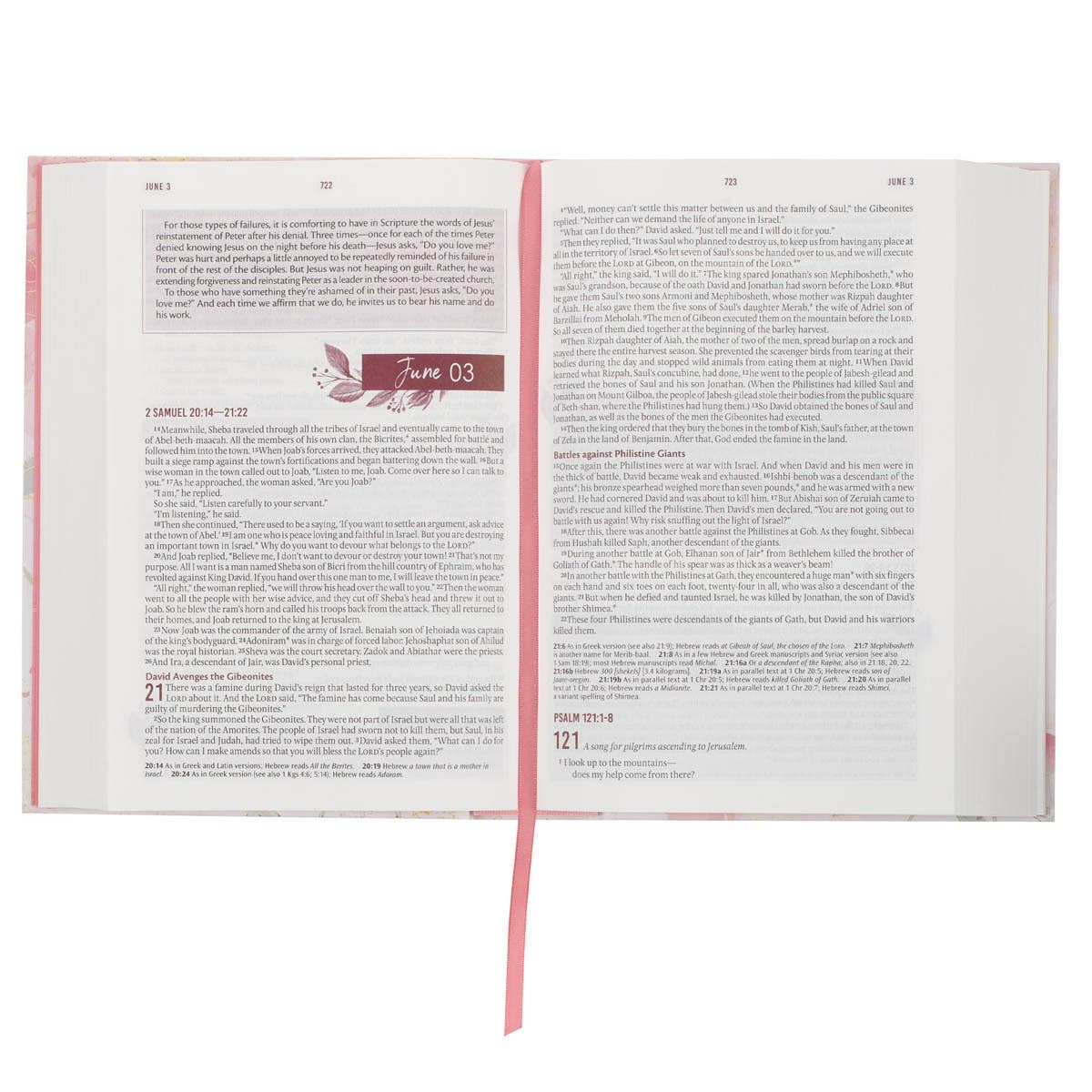 NLT Devotional Bible - Pink