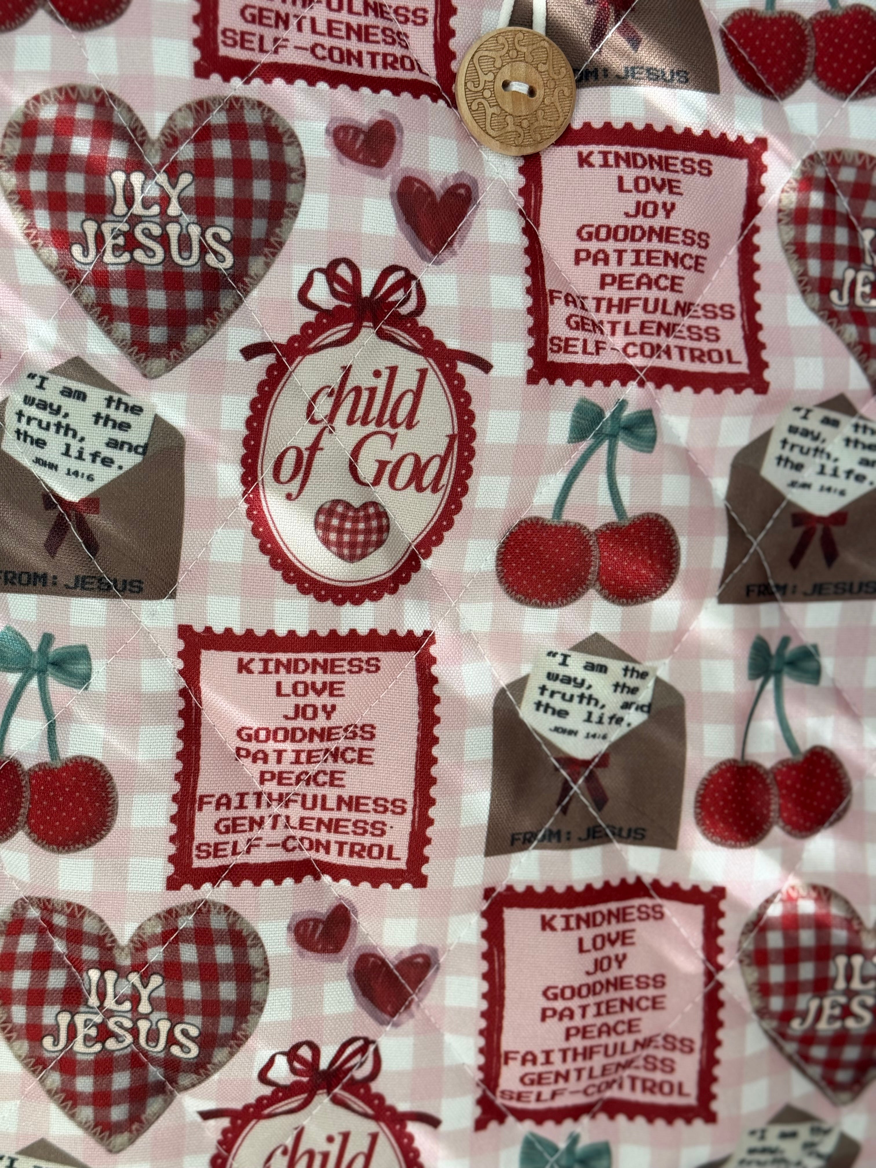 Gingham Christian Bible Cover