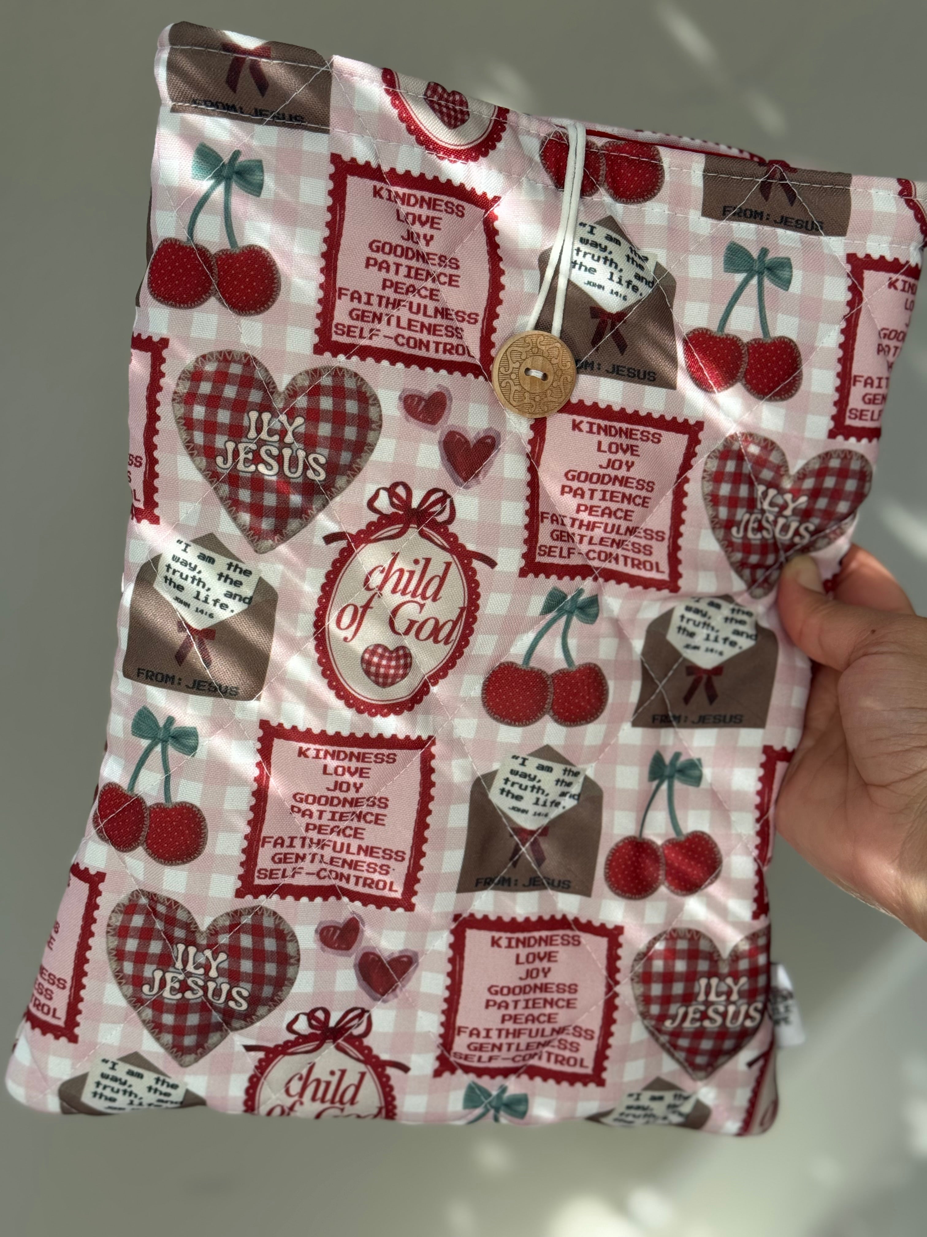 Gingham Christian Bible Cover