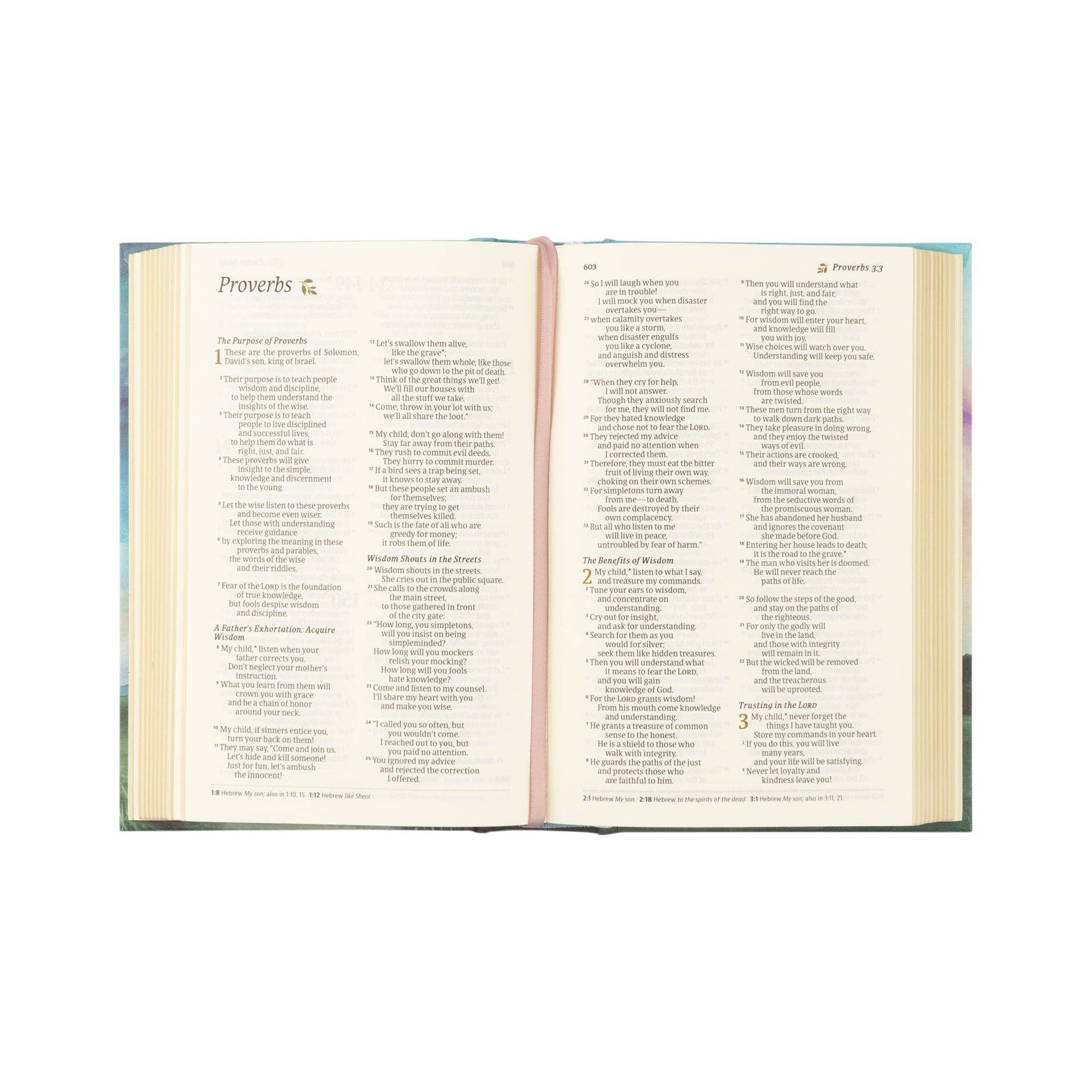 NLT Compact Bible: Prairie