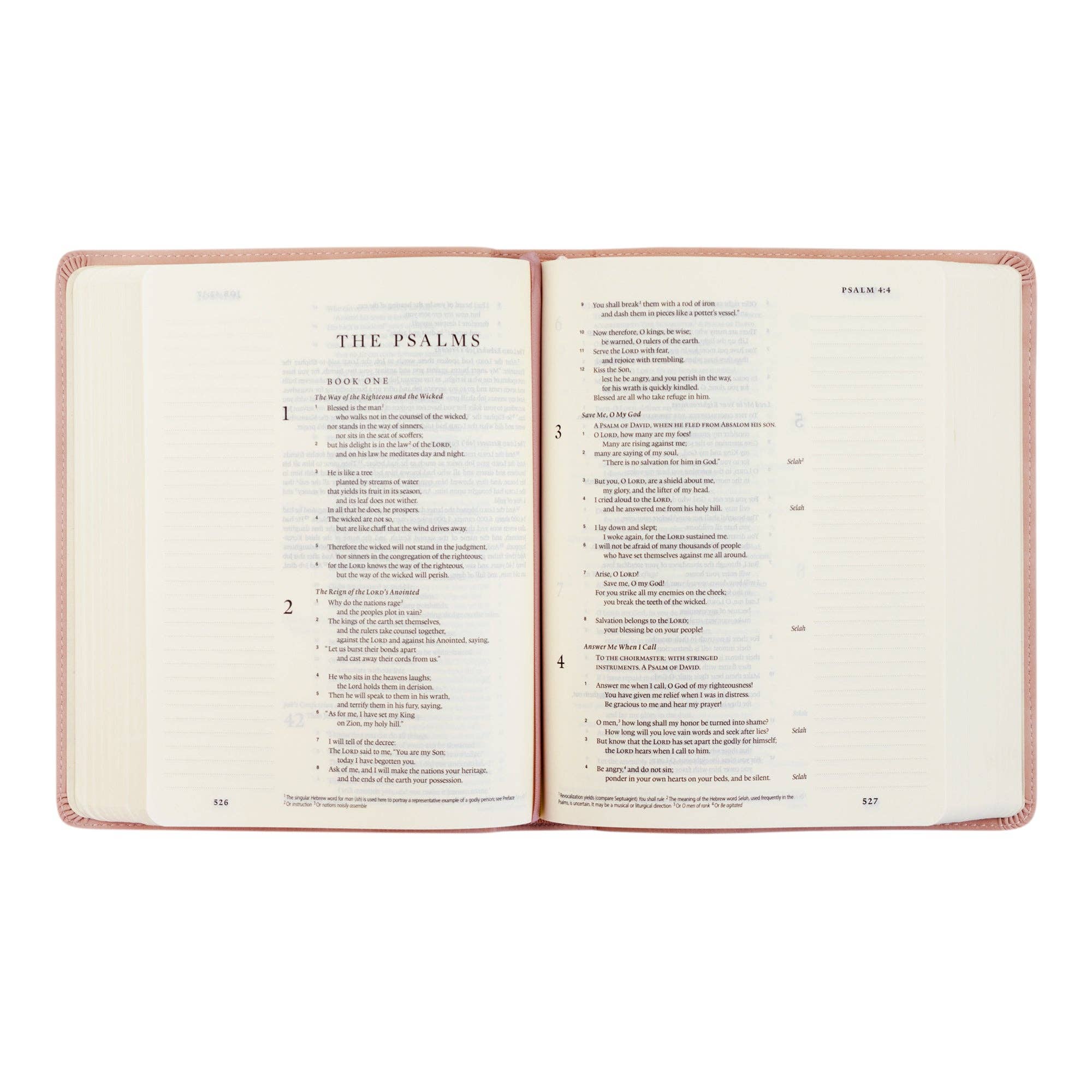 ESV Journaling Bible: Shiloh